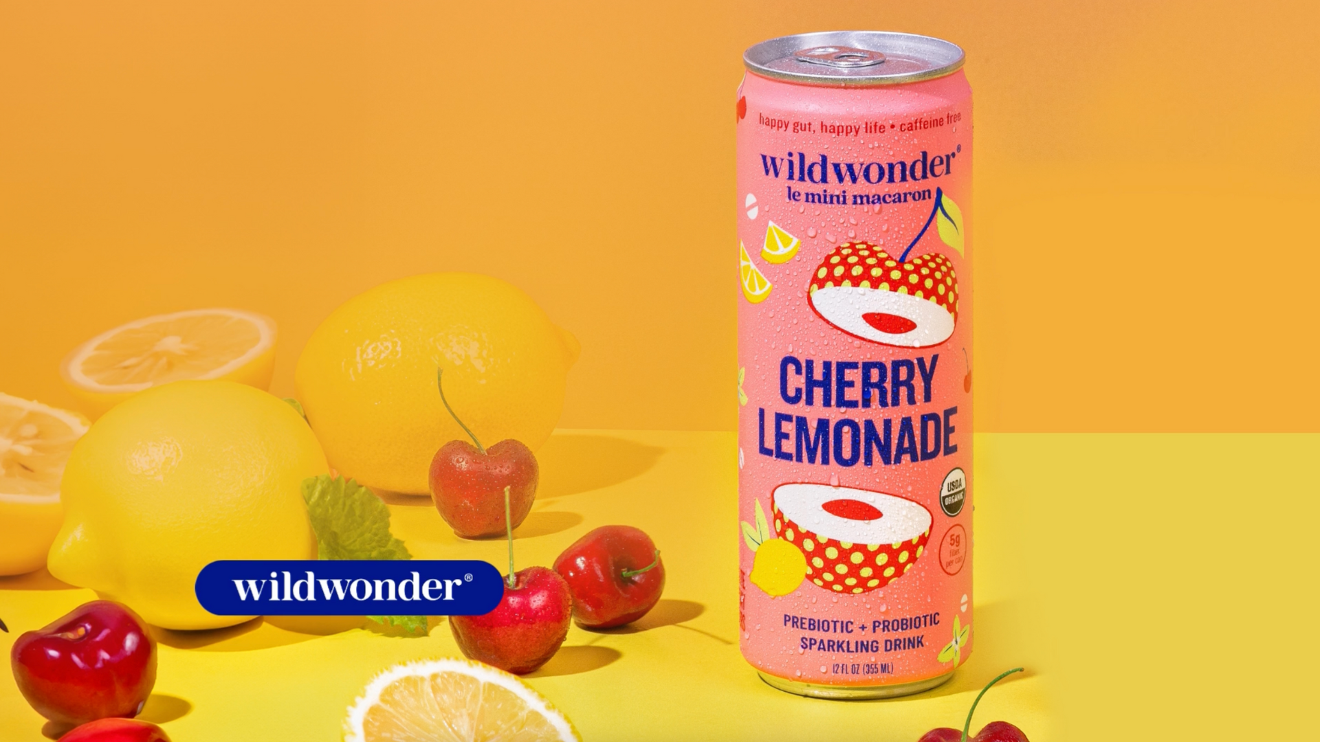 Amazon.com : NEW! wildwonder Sparkling Probiotic Drink 12pk, For